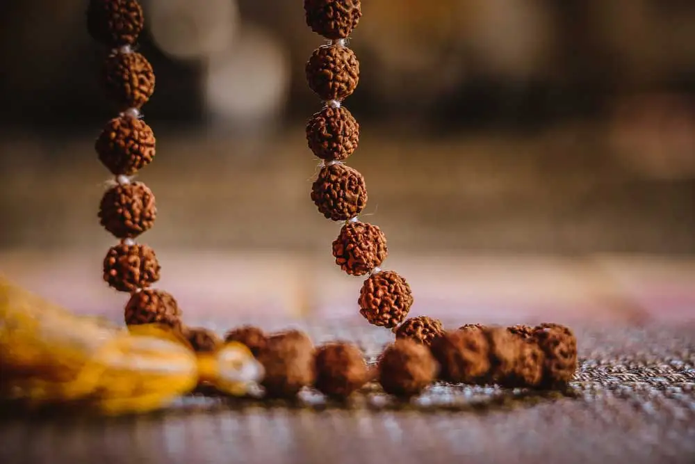 Rudraksha and Their Importance in Your Life